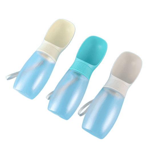 Gourde portable anti-fuites